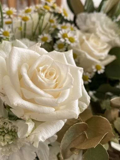 Headerbild akebia.ch – Impressum & Datenschutz