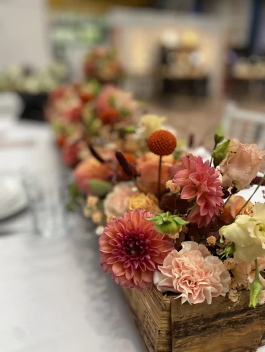 Headerbild akebia.ch – Partner