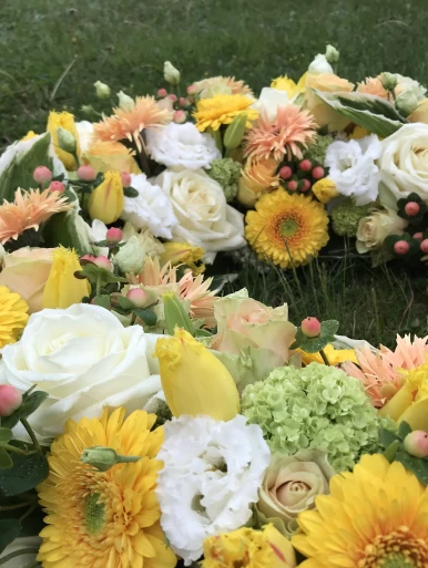 Headerbild akebia.ch – Trauer